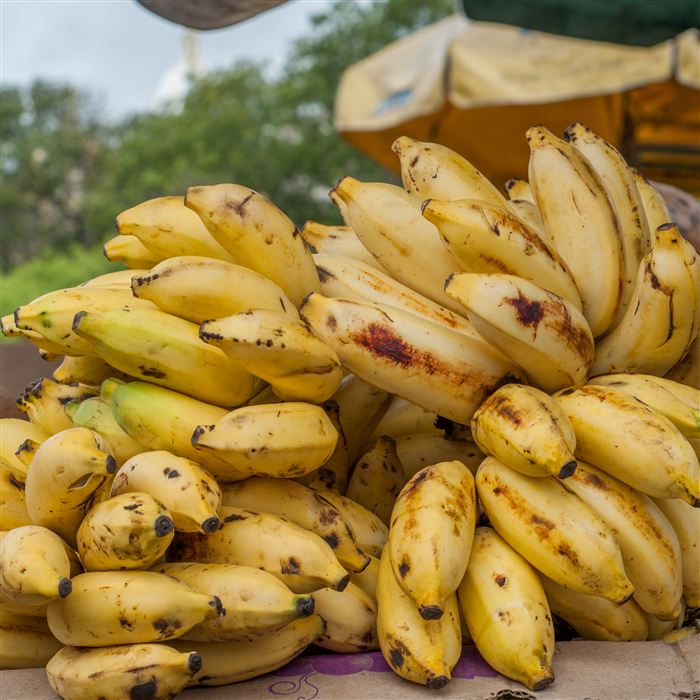 Banana